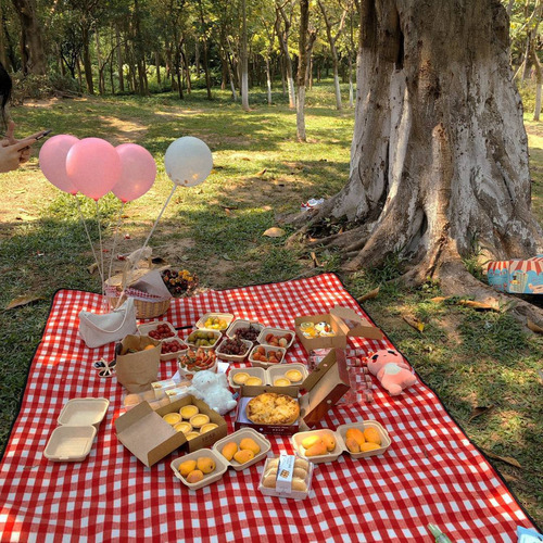 Cesta De Piquenique De Vime Estilo Country Com Tampa - Imagem 5
