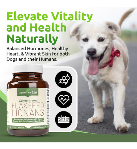 Lignanas Para A Vida Lignanas De Linhaça Para Cães E Pessoas - Imagem 3