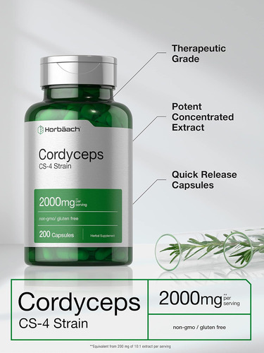 Cápsulas De Cogumelo Cordyceps Horbäach 2000 Mg | Contagem 2 - Imagem 3