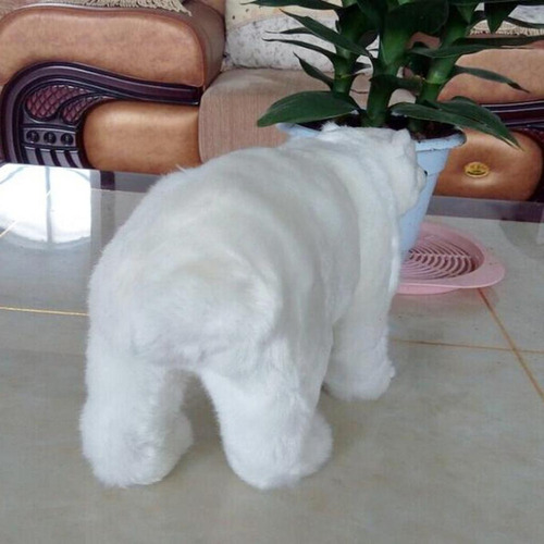 I Taxidermia De Urso Polar 31x18cm - Imagem 5