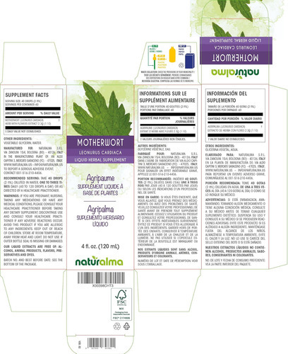 Erva Naturalma Motherwort (leonurus Cardíacaa) Com Flores Ti