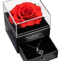 1pc Rosa Eterna Preservada + Colar De Te Amo Em 100 Idiomas