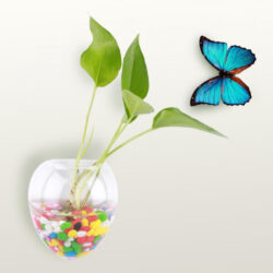 Plantas Penduradas Flores Vaso Vidro Parede Hidropônico Aquá