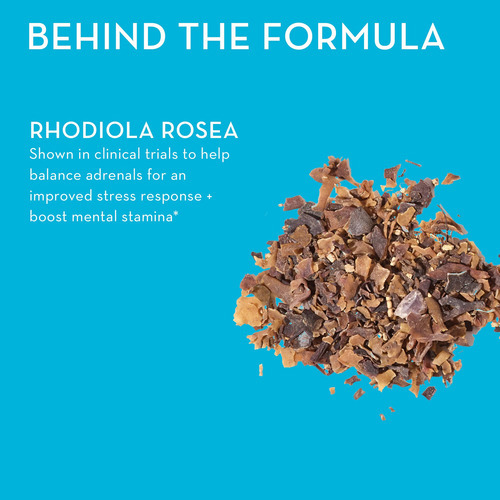 Suplemento Hum Big Chill Com 500 Mg De Rhodiola Rosea 30 Cáp - Imagem 6