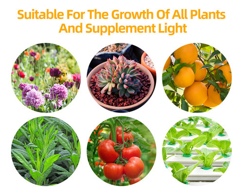 Lâmpada De Crescimento Indoor Growth Plant 81 Spectrum Grow - Imagem 5