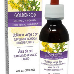 Erva Naturalma Goldenrod (solidago Virgaurea) Com Tintura De