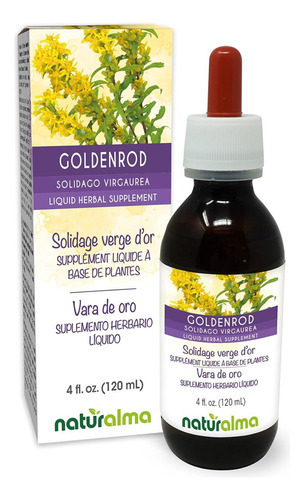 Erva Naturalma Goldenrod (solidago Virgaurea) Com Tintura De