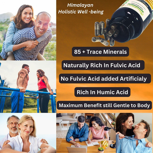 Cápsulas Puras De Shilajit Do Himalaia Mg. Shilajit Natural - Imagem 3