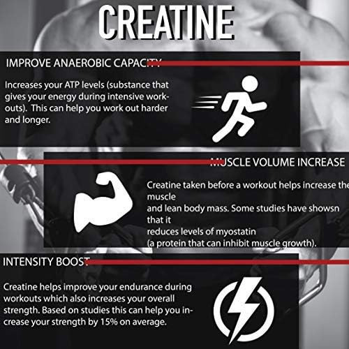 Alfa Vitaminas Creatina Máxima Monohidratada 1200 Mg 100 Cáp - Imagem 4