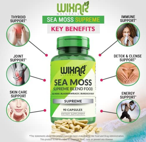 Cápsulas De Musgo Marinho Orgânico Wixar Naturals - Cápsula - Imagem 3