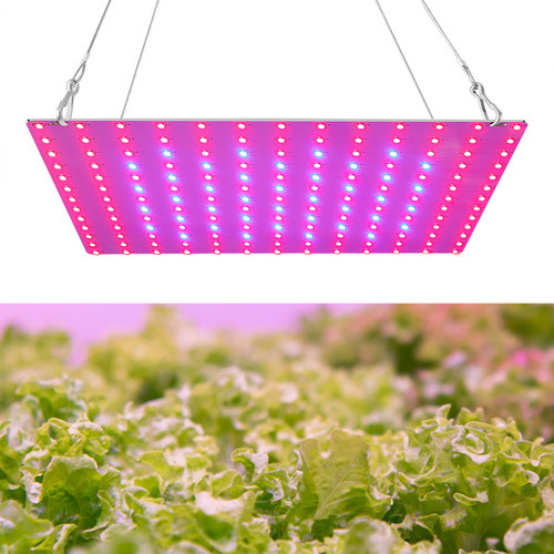 Led Grow Light Vermelho Azul Full Spectrum 81 Leds Grow Lamp - Imagem 9