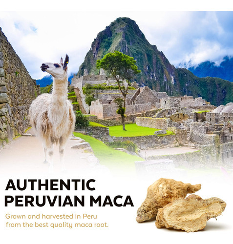 Maca Orgânica Em Pó Viva Naturals - Maca Em Pó Gelatinizada - Imagem 3