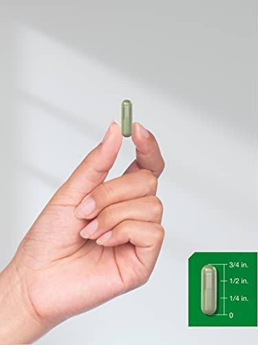 Cápsulas De Extrato De Algas Marrons 2.000 Mg | 200 Comprim - Imagem 4