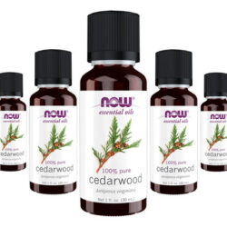 Óleo De Cedro 100% Puro Now Foods Cedarwood Oil 30ml 5un
