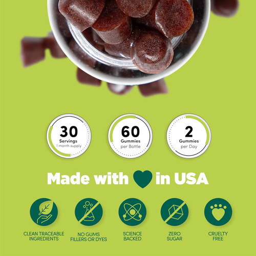 Gomas De Cogumelo Rewellss I Suplemento Vegan Low Carb Lions - Imagem 6