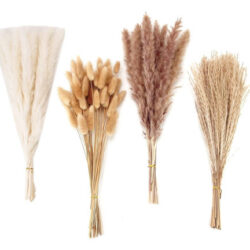 100 Peças Secas De Capim De Pampas, Decoração De Capim, Capi