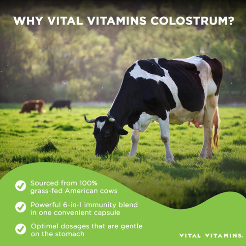 Suplemento De Colostro De Vitaminas Vitais - Cápsulas De Col - Imagem 3