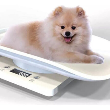 Balança Veterinária Digital Capacidade 10kg ± 1g Pet - Imagem 2