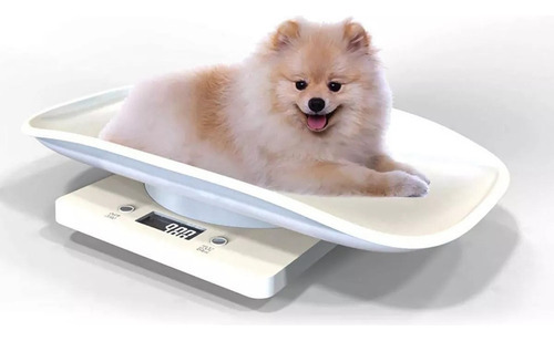 Balança Veterinária Digital Capacidade 10kg ± 1g Pet - Imagem 2