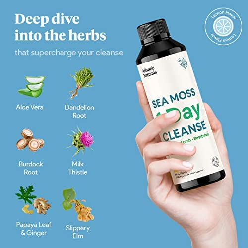 Atlantic Naturals Sea Moss 1 Day Cleanse - Desintoxicação D - Imagem 5