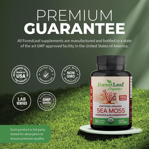 Forestleaf Organic Irish Sea Moss - 2100 Mg Com Bladderwrack - Imagem 6