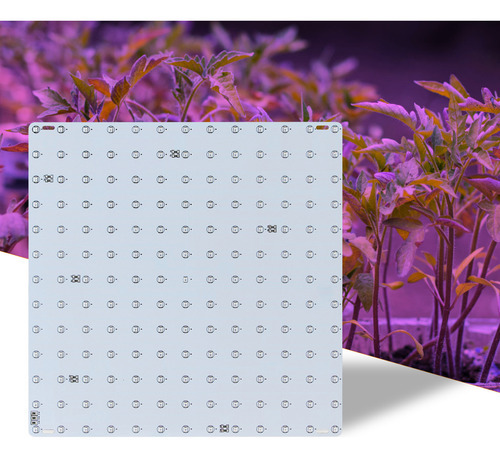 Led Grow Light Vermelho Azul Full Spectrum 81 Leds Grow Lamp - Imagem 2