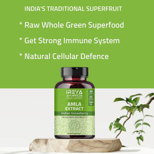 Cápsulas De Extrato De Fruta Amla De Ireya Ayurveda (90 Cáps - Imagem 3