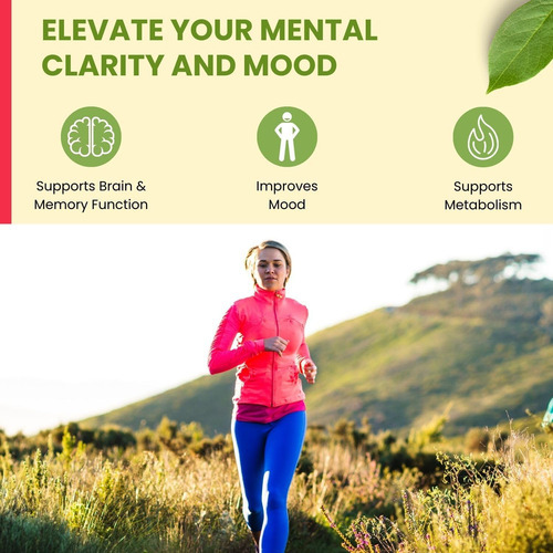 Shifaa Nutrition Energize, Vitaminas Energéticas Diárias Nat - Imagem 6