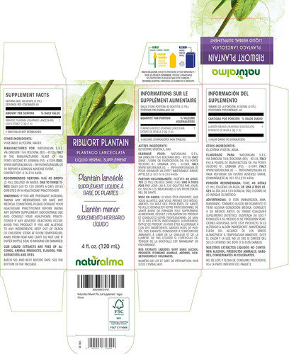 Naturalma Ribwort Banana Ou Narrowleaft Banana (plantago Lan - Imagem 2