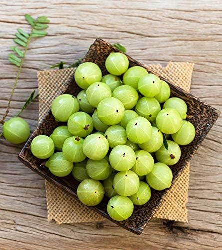 Puro Pó De Amla Orgânico De Alimentos Indianos, 8 Onças, Ama - Imagem 5