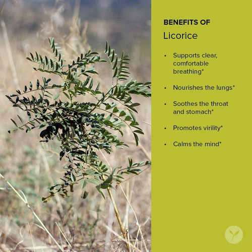 Pó De Raiz De Alcaçuz Banyan Botanicals, Libra - Usda Orgâni - Imagem 3