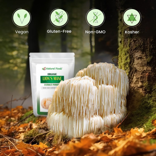 Z Natural Foods Pó De Extrato De Cogumelo Juba De Leão Orgân - Imagem 5