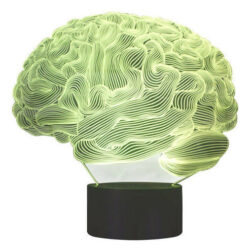 3d Cérebro Humano -cerebelo Lâmpada De Mesa Modelo 7 Mudança