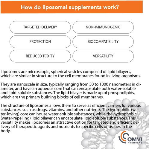 Fórmulas Omvi, Vitamina C Lipossomal 1.000 Mg, Ácido Ascórbi - Imagem 7
