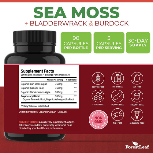Forestleaf Organic Irish Sea Moss - 2100 Mg Com Bladderwrack - Imagem 3