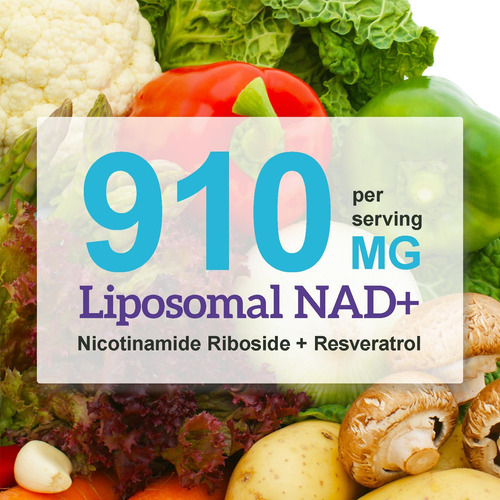 Suplemento Nad - Ribosídeo Lipossômico De Nicotinamida, Quer - Imagem 6