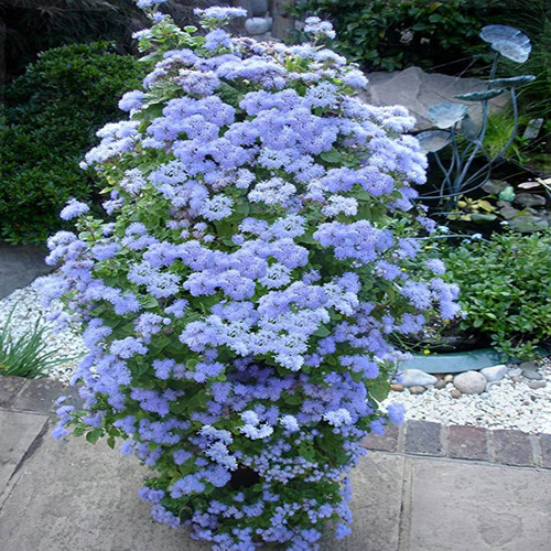 Autônomo Flor Torre Standing Planta Flor Torre Jardim — foto 7 Autônomo Flor Torre Standing Planta Flor Torre Jardim - Imagem 7