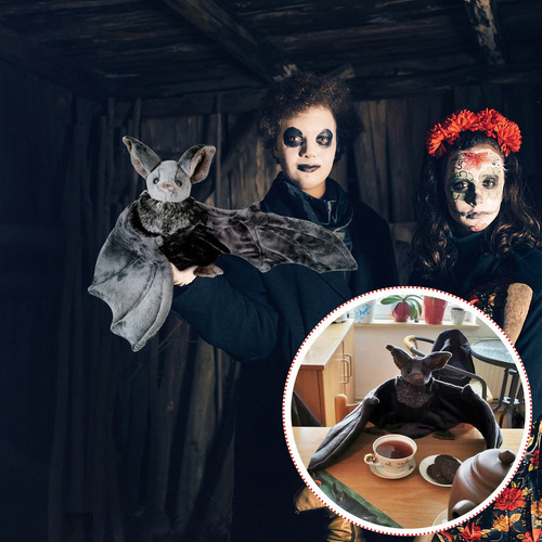 C Morcego De Pelúcia De Halloween Bicho De Pelúcia Bashful - Imagem 6