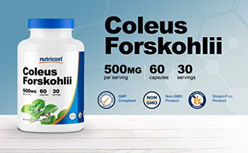 Suplemento Nutricost Coleus Forskohlii 500mg 60 Cápsulas - Imagem 5