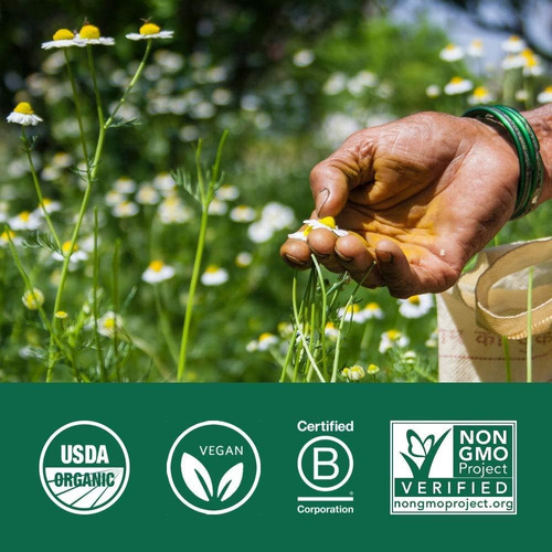 Cápsulas Organic India Triphala - Suplemento De Ervas Com Am - Imagem 5