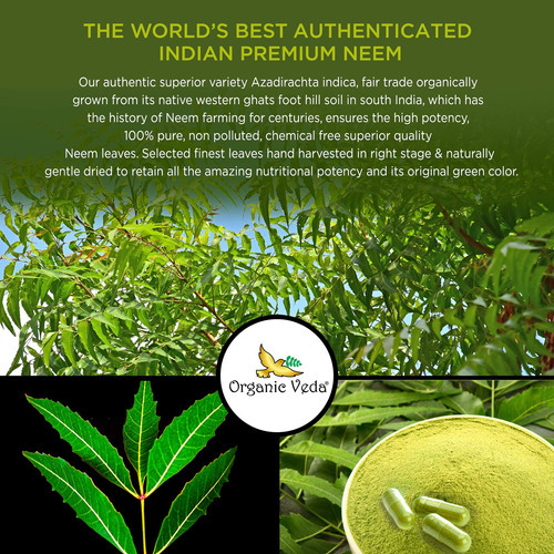 Suplemento Orgânico Veda Neem Capsules 120 Cápsulas Vegetari - Imagem 6