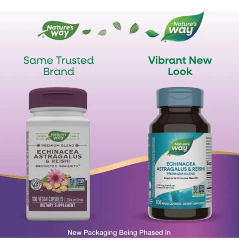 Natures Way Echinacea Astragalus & Reishi, Suporte Imunológi - Imagem 4
