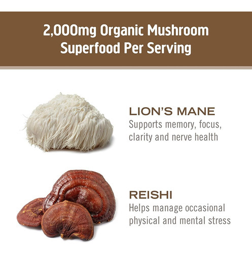 Om Cogumelo Superalimento Cérebro Combustível Cogumelo Em Pó - Imagem 6
