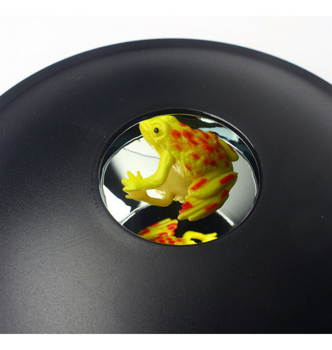 Brinquedo Sapo, Caixa De Ilusão De Ótica Criativa - Imagem 2