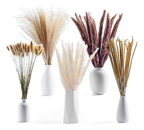 Decoração De Buquê De Capim Seco Dos Pampas Boho Home 120 Un - Imagem 2
