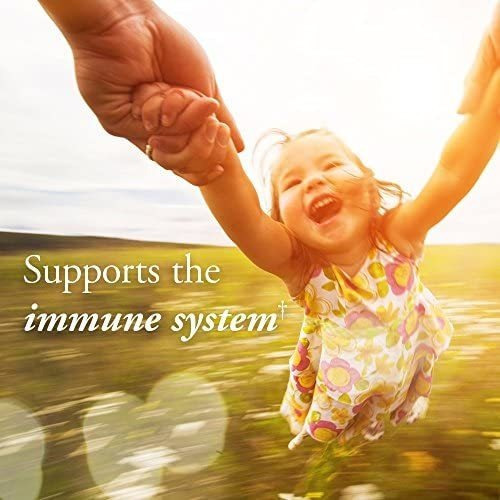 Vitamina C Garden Of Life Mykind Organics 60 Mg 2 Onças/cere - Imagem 5