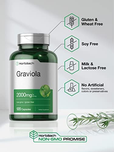 Extrato De Graviola 2000 Mg 120 Cápsulas | Não Ogm, Sem Glút - Imagem 2