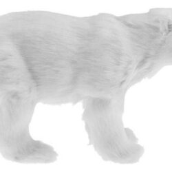 I Taxidermia De Urso Polar 31x18cm