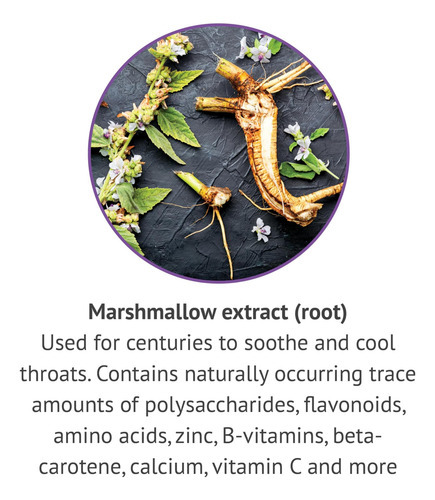 Extrato Líquido De Raiz De Marshmallow Botanic Choice - Sem - Imagem 4