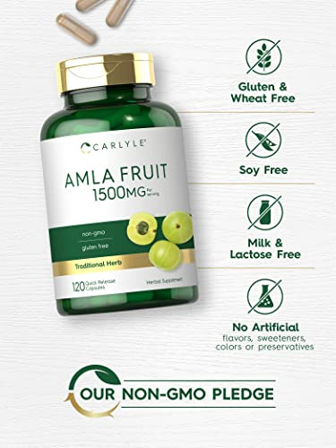 Suplemento Carlyle Amla Fruit 1500mg 120 Cápsulas Não Transg - Imagem 4